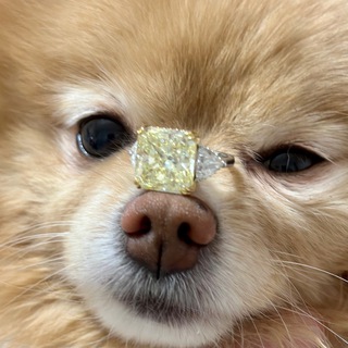 Логотип @brilliant24_diamonds_gold - Бриллианты в Трусах