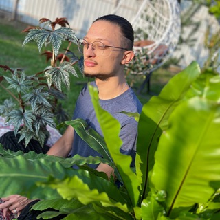 Логотип @brilliant_green_plants - Бриллиантовый зеленый