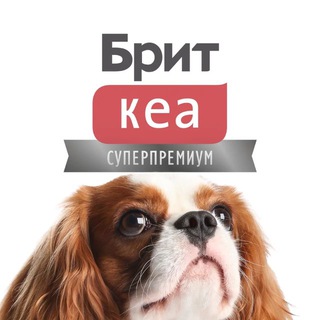Логотип @britcare - Брит Кеа | Корм для собак и кошек