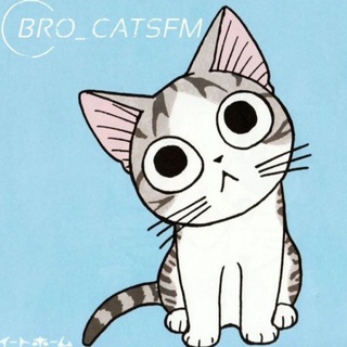 Логотип @bro_catsfm - Братцы котики😼