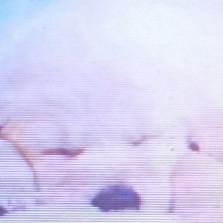 Логотип @bronzoviysoft - ΦΔΕΛИ⊜