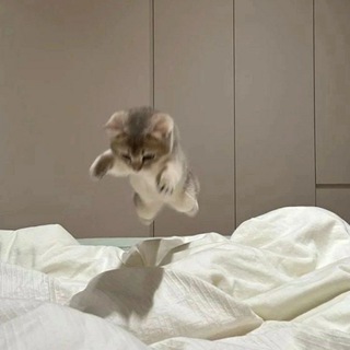 Логотип @browasyas - свой мастер