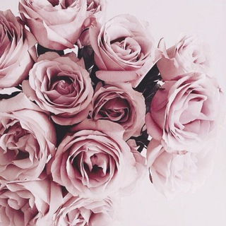 Логотип @browows - the velvet room