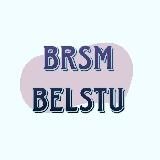 Логотип @brsmbelstu - БРСМ БГТУ | Минск