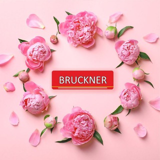 Логотип @bruckner_tea - BRUCKNER - Чай, каким он должен быть!