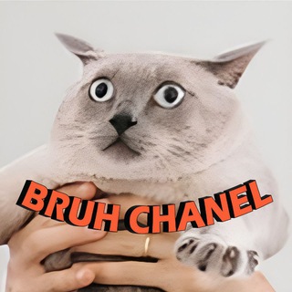 Логотип @bruh_chanel - Bruh chanel