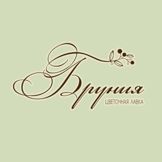 Логотип @bruniaflowers34 - Бруния | Цветы | Волгоград