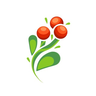 Логотип @brusnikachina - Brusnika|China🇨🇳