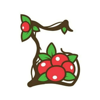 Логотип @brusnikinyrfgroup - Брусникины.рф о продуктах на столе