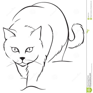 Логотип @brynskit - Брянский скиталец