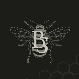 Логотип @bs_oa - Братство спудеїв