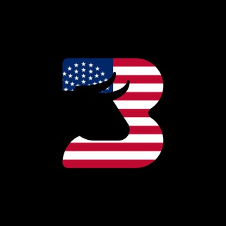Логотип @bs_usadiv - BestStocks | Дивиденды США