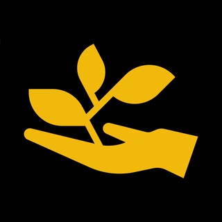 Логотип @bscfarm_group_china - BSC FARM - CHINA 🇨🇳