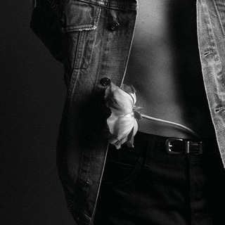 Логотип @bsmfs - 𝗕𝗔𝗦𝗧𝗔𝗥𝗗𝗦 𝗙𝗔𝗠𝗜𝗟𝗬