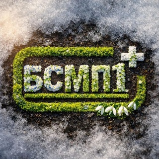 Логотип @bsmp1omsk - БСМП 1 Омск