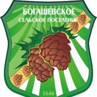 Логотип @bsp_70 - Официальный канал Богашевского сельского поселения