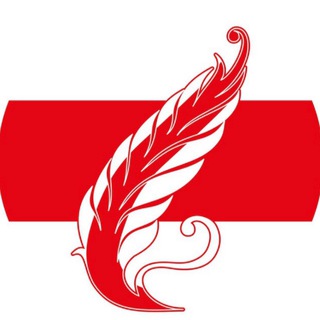 Логотип @bsu4republic - БДУ 97%