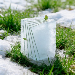 Логотип @bsufl_belarus - ИНЯЗ.BY