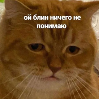 Логотип @bsuirhate - Здравствуй, бгуир, я тебя ненавижу