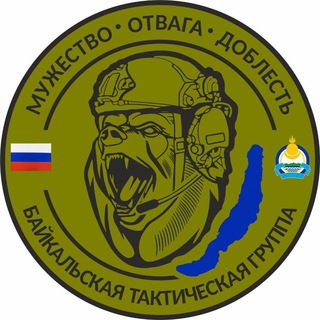 Логотип @btg03 - Baikal tactical group