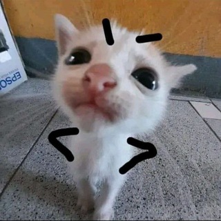 Логотип @bubnily - Бубнилы