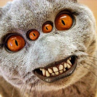 Логотип @budem_bambit - Будем всех бамбить!