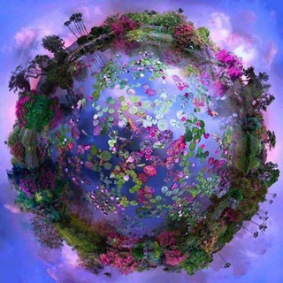 Логотип @budimira_sokratova - К/©будимира