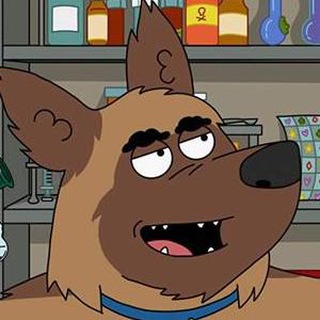 Логотип @budkasobaki - Будка Собаки