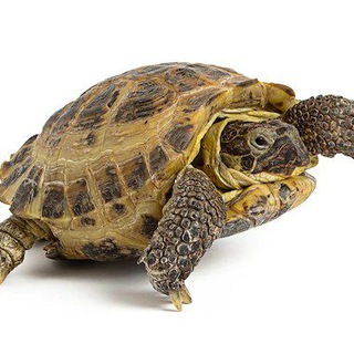 Логотип @budni21veka - Будни 21 века