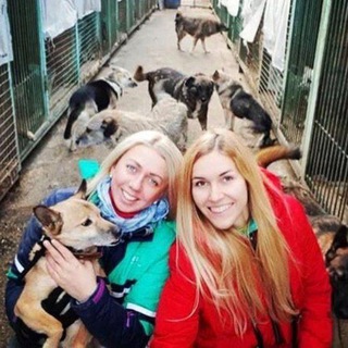 Логотип @budni_lohmatogo_priuta - Приют Некрасовка 10 сектор