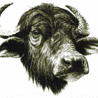 Логотип @bufalegram - Bufalegram