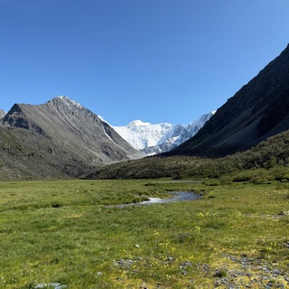 Логотип @buffalochat - Правый хват Chat