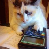 Логотип @buhcumchat - леопарды на обеде