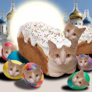 Логотип @bukhankakotika - Я оцениваю буханки