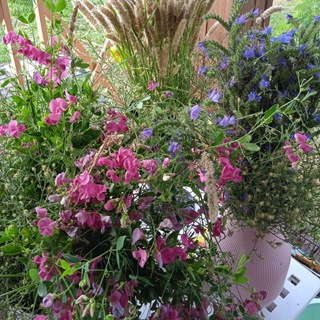 Логотип @buldvor - Отдых в Крыму, Феодосия