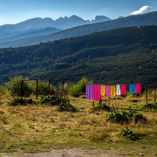 Логотип @bulgaria_in_details - Чай с баницей: о Болгарии в деталях