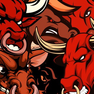 Логотип @bullandbearchannel - Bull&Bear