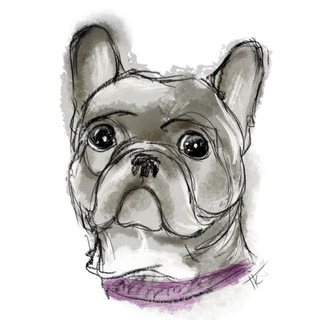 Логотип @bulldogdolce - Бульдожье сердце