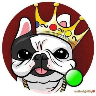 Логотип @bulldogs_chat - Французский бульдог Chat 👑
