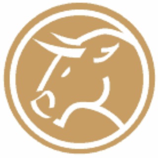 Логотип @bullvestor - bullVestor