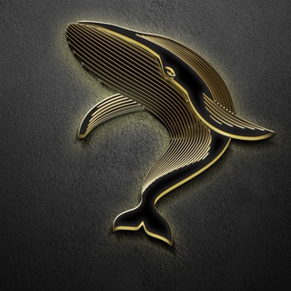 Логотип @bullwhaleventure - Bull Whale Investments