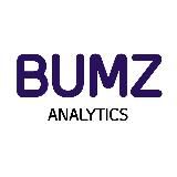 Логотип @bumzanalytics - BumzAnalytics