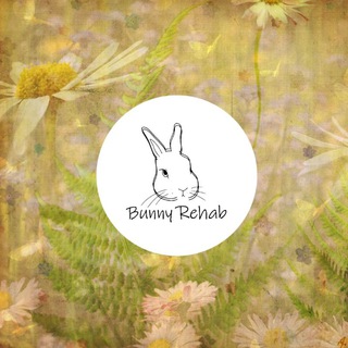 Логотип @bunny_rehab - 🐇💜Bunny_rehab💜🐇