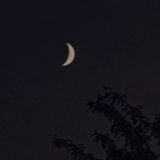 Логотип @bunnyxaxaxa - Evangeliix