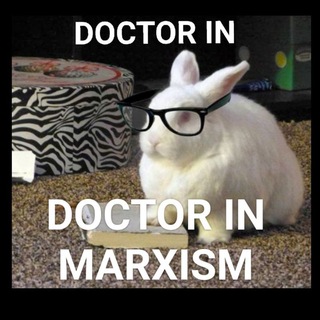 Логотип @bunpile - BunPile Think-Tank