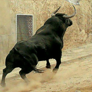 Логотип @buqalarsavdo2020 - Chorva Mollari Bozori .🐂