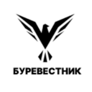 Логотип @burevis - Буревестник