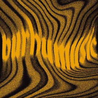 Логотип @burhmusic - Музыкальный фильтр