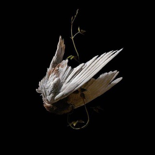 Логотип @burial_of_the_texts - burial