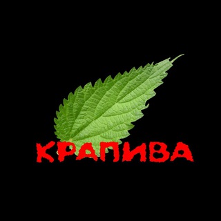 Логотип @burningmaster - Канал Крапива